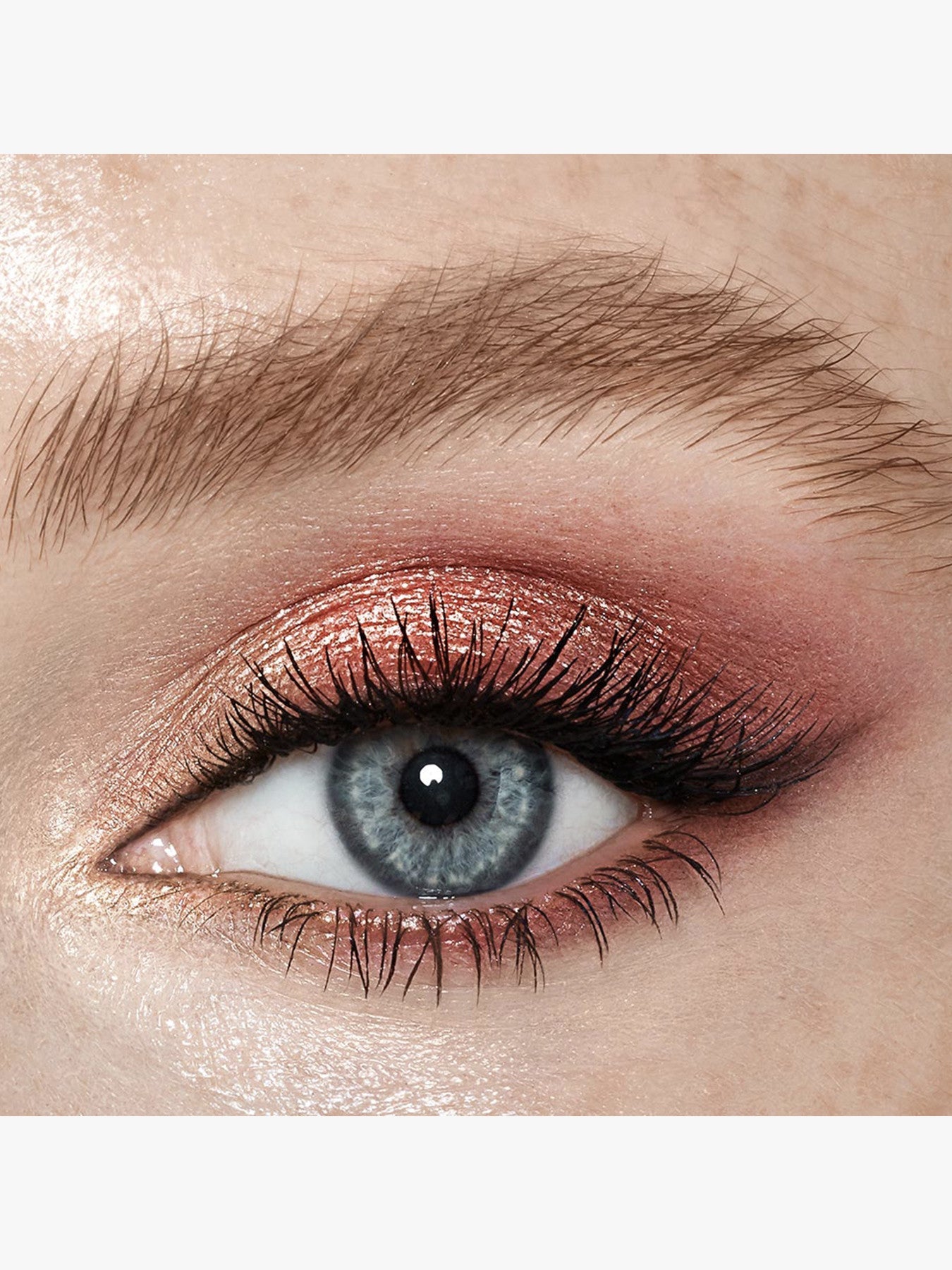 Luxury Palette