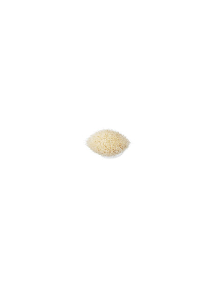 217 Blending Brush