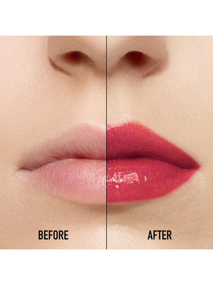Dior Addict Lip Maximizer