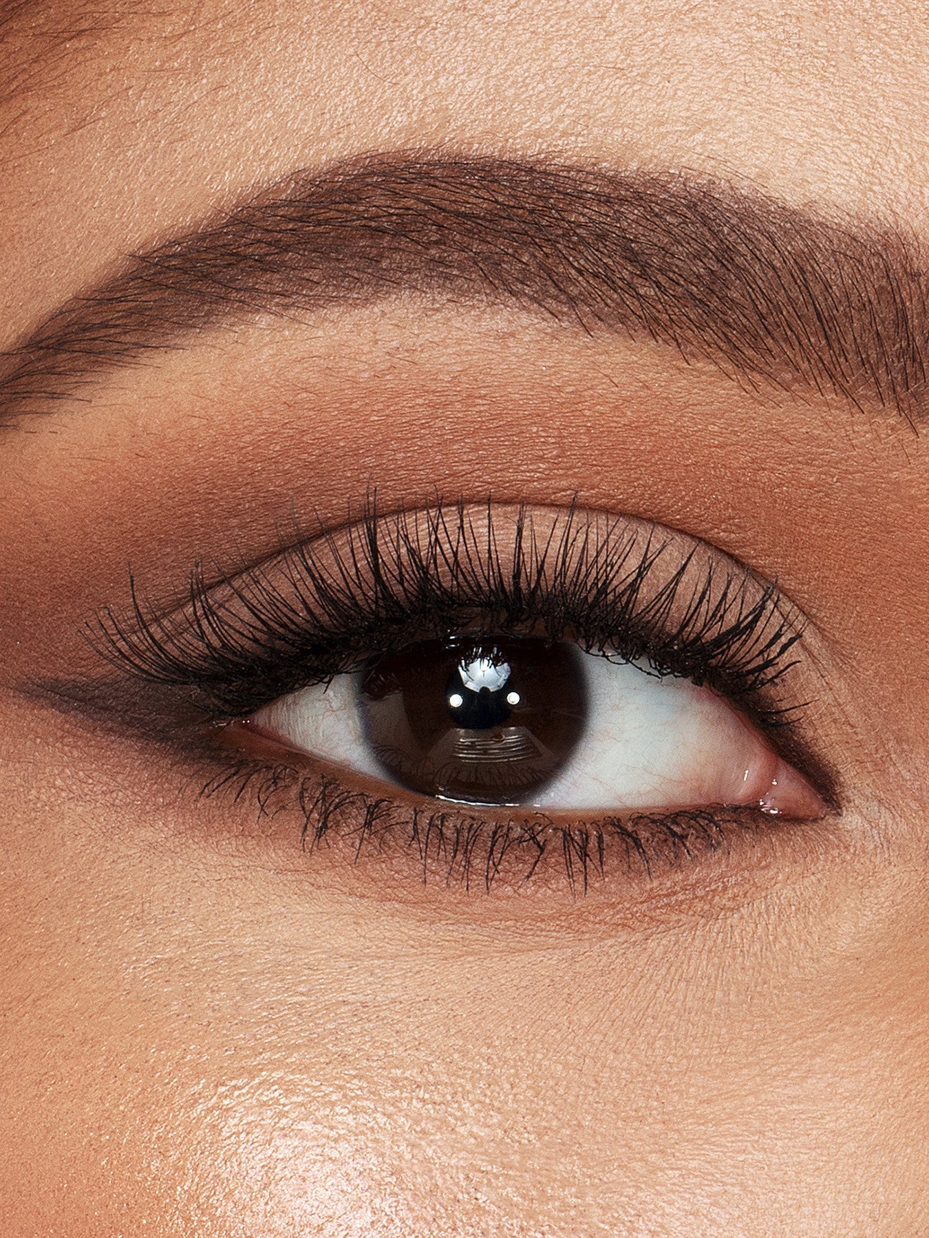 Brow Cheat Refill