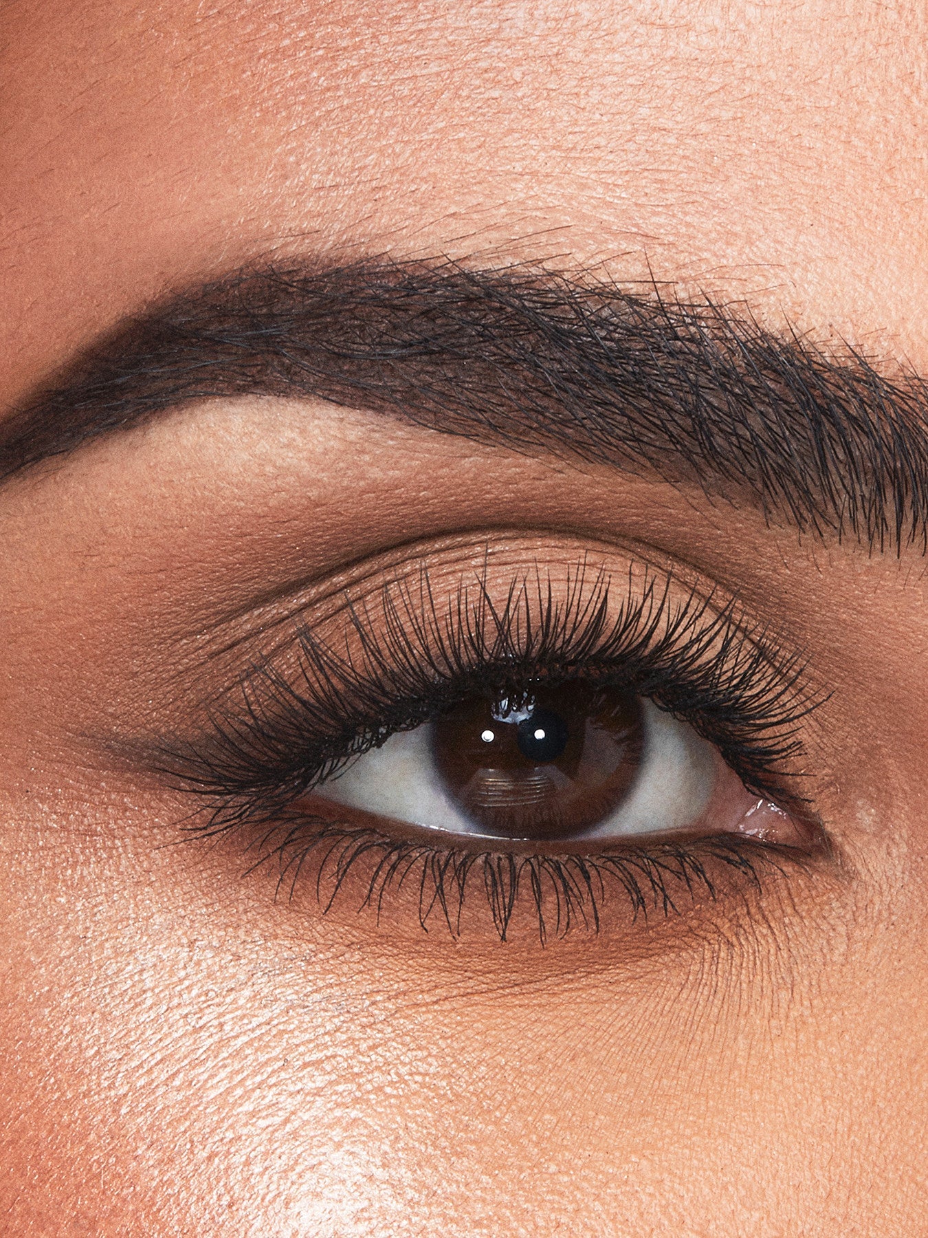 Brow Cheat Refill