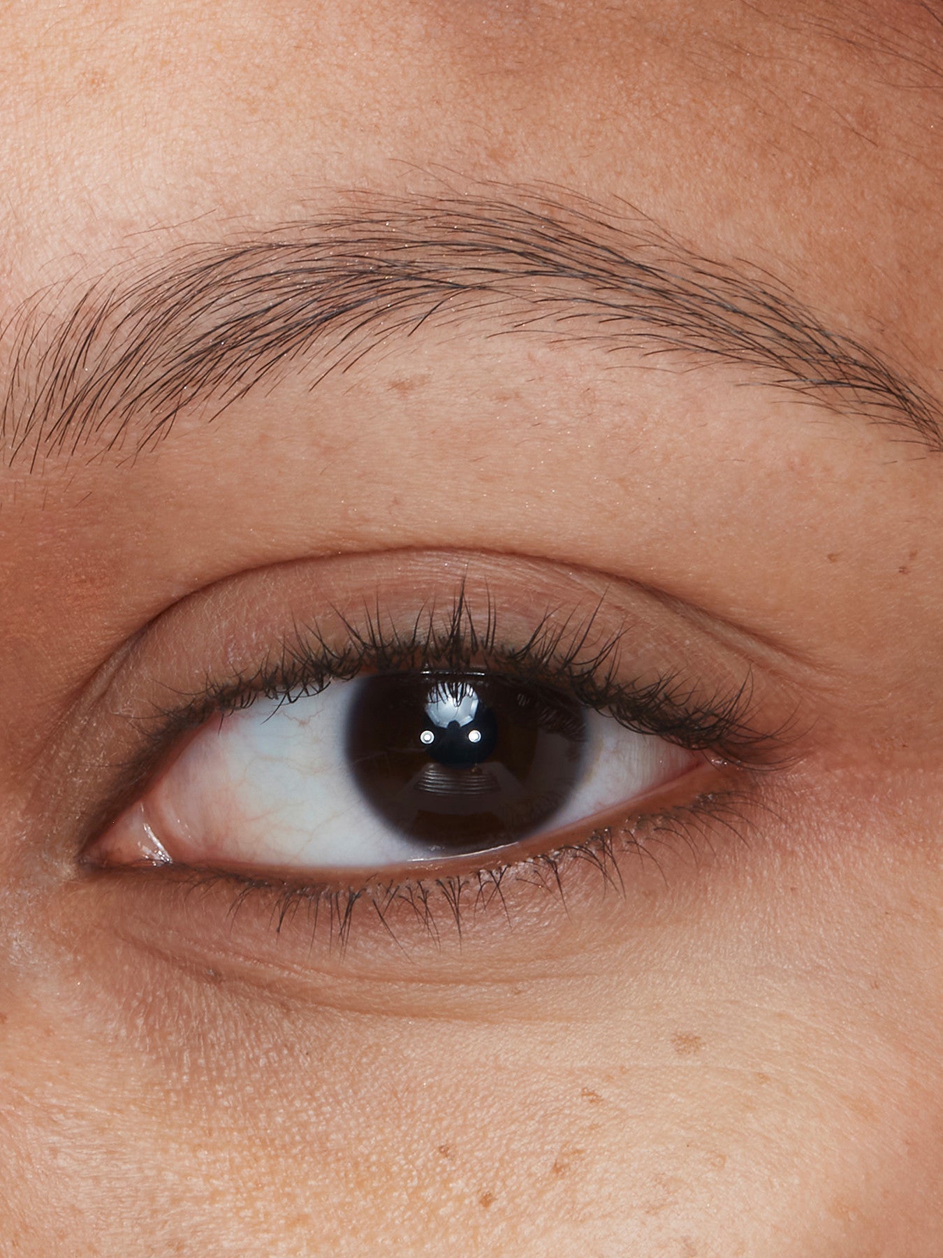 Legendary Brows