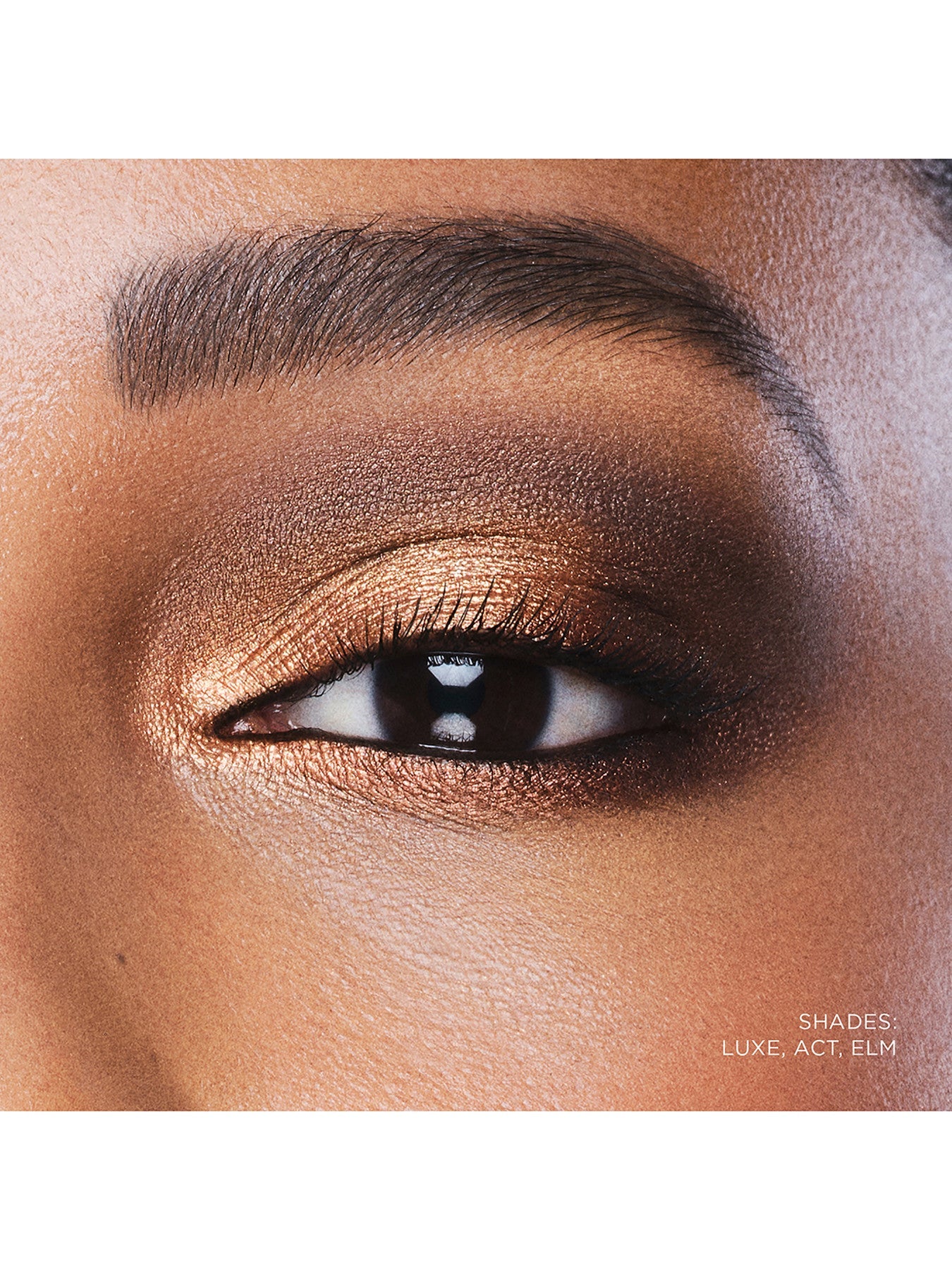 Curator Eyeshadow