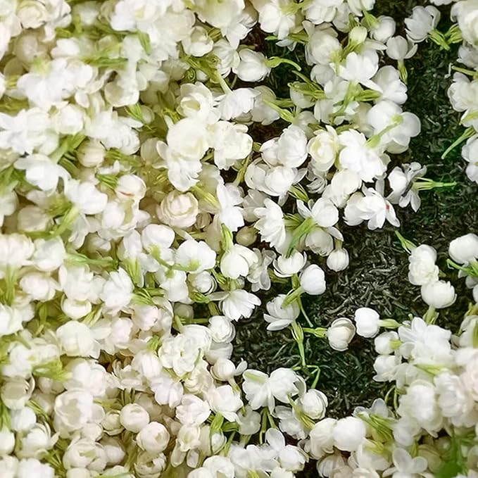 🌸 Jasmine Potted Plant
